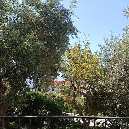 Greekowl Apartments Skiathos Exterior photo