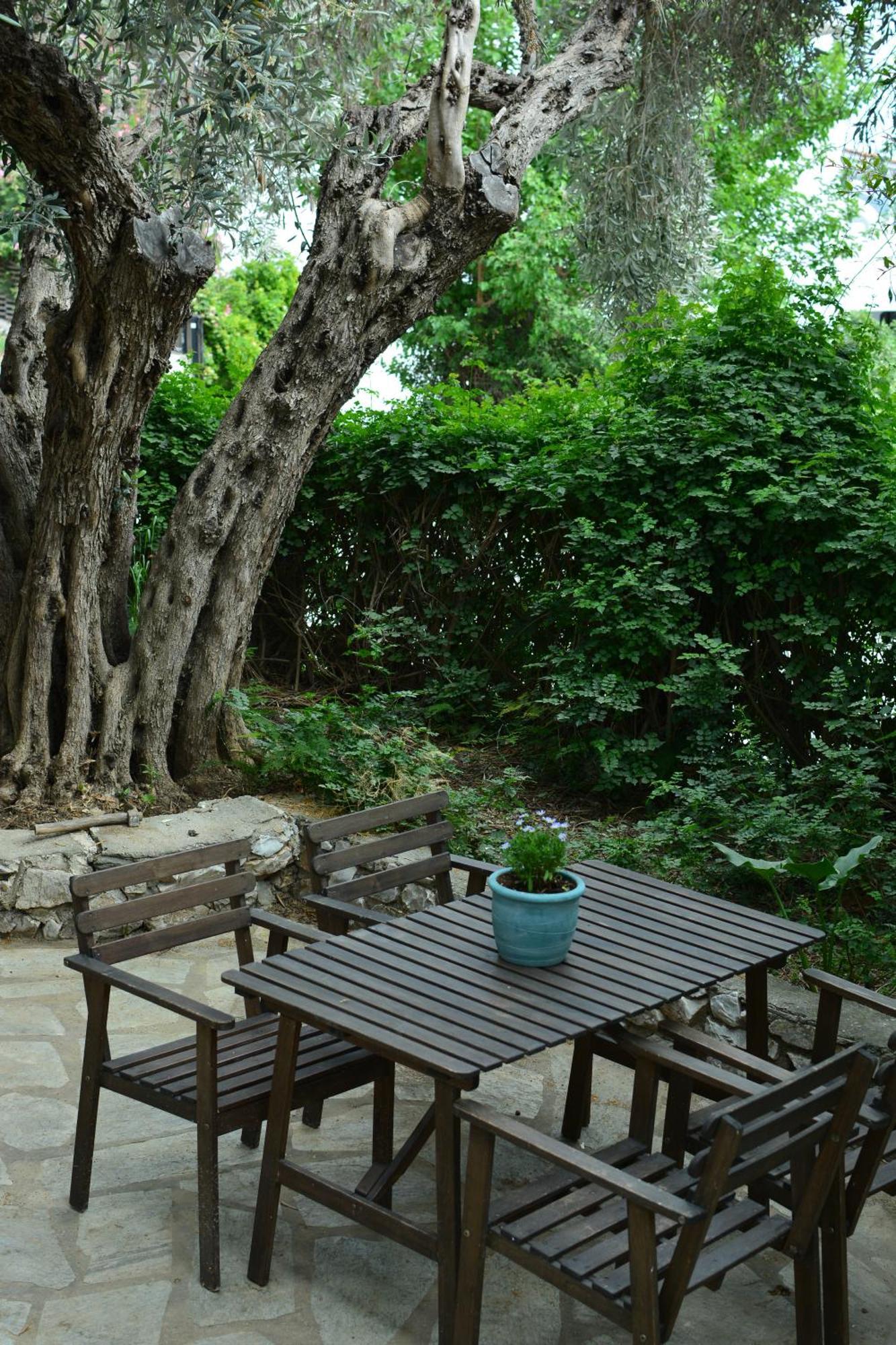 Greekowl Apartments Skiathos Exterior photo