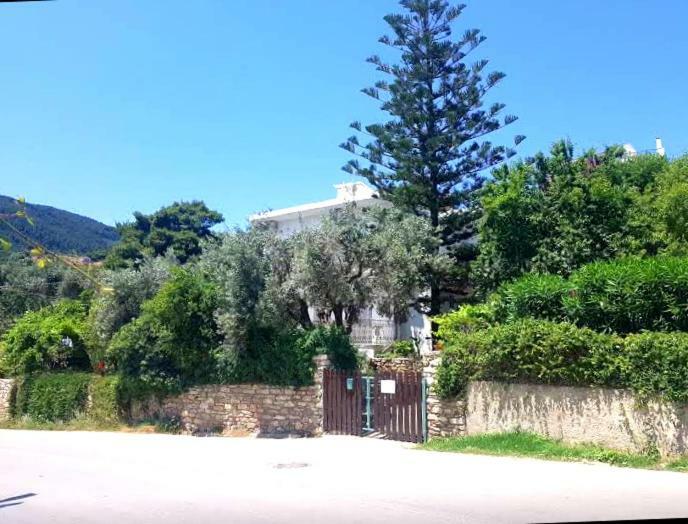 Greekowl Apartments Skiathos Room photo